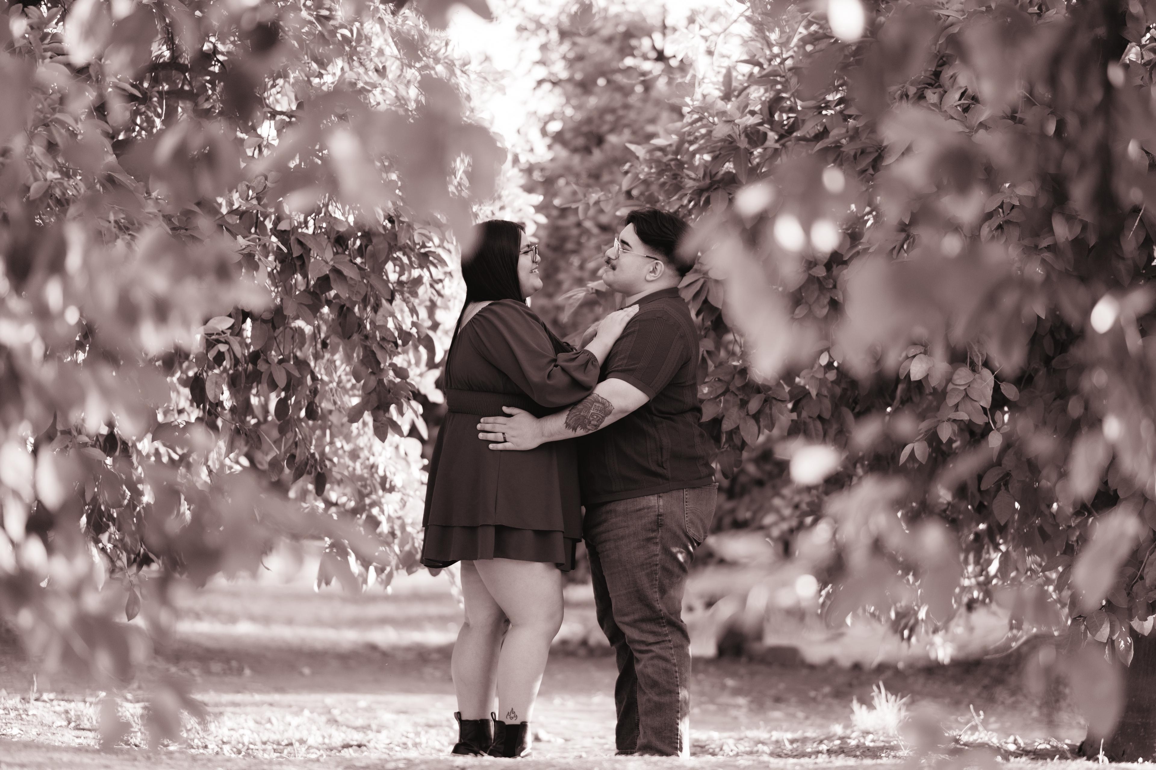 Romantic Golden Hour Engagement Session at Sahuaro Ranch Park in Glendale, Arizona